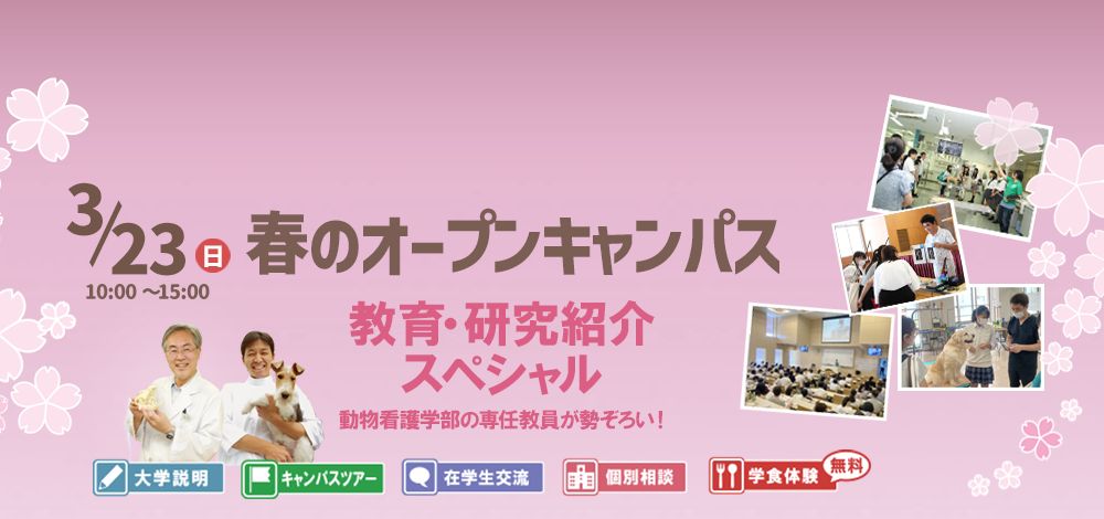 春OC