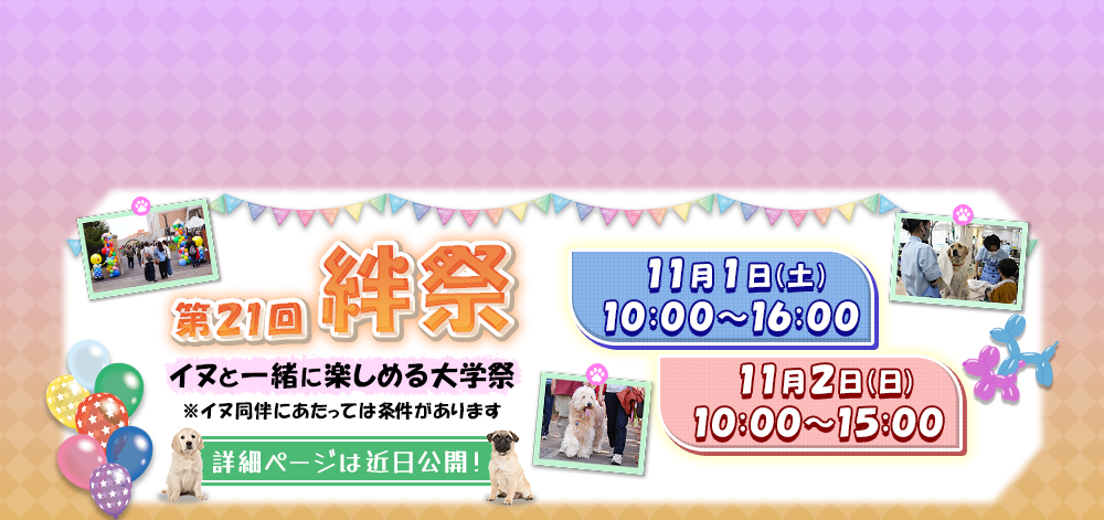 絆祭告知
