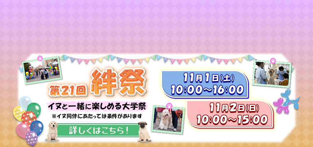 絆祭告知