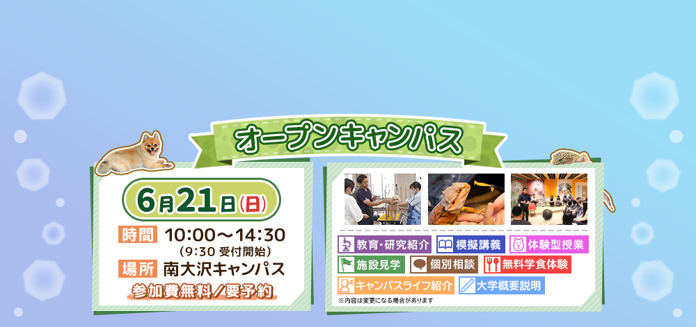 OC告知
