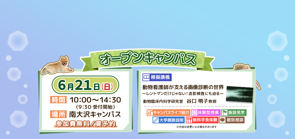 OC告知