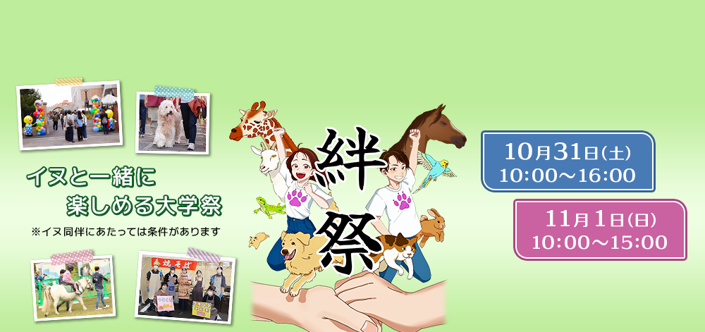 絆祭告知